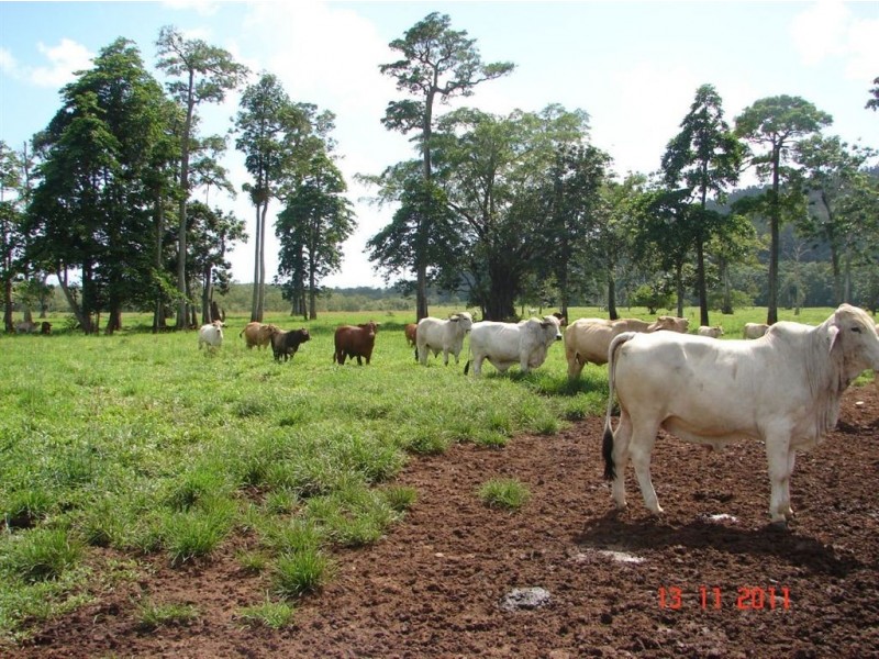 # Bramston Beach, Innisfail QLD 4860