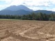 # Cape Tribulation Road, Lower Daintree QLD 4873