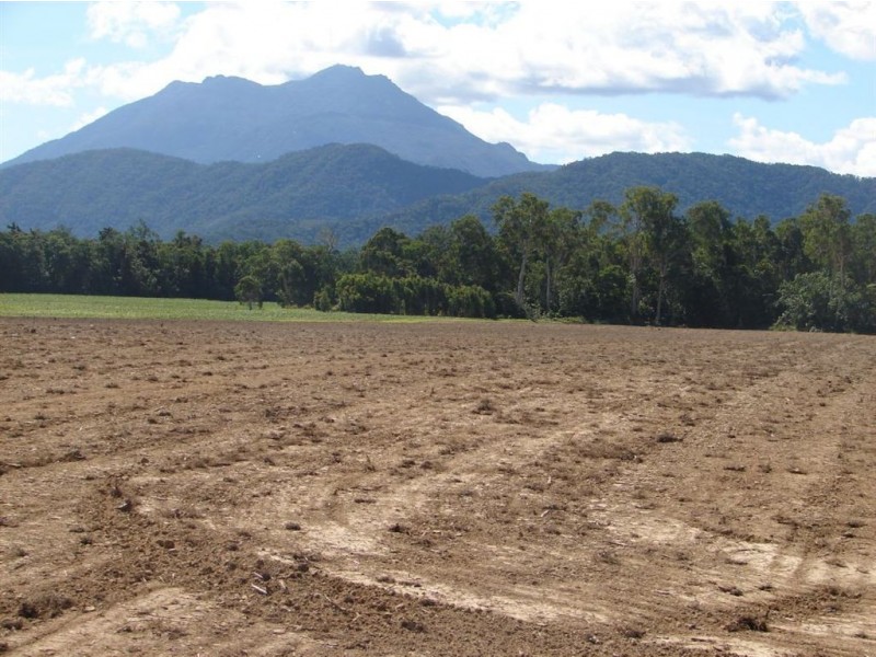 # Cape Tribulation Road, Lower Daintree QLD 4873