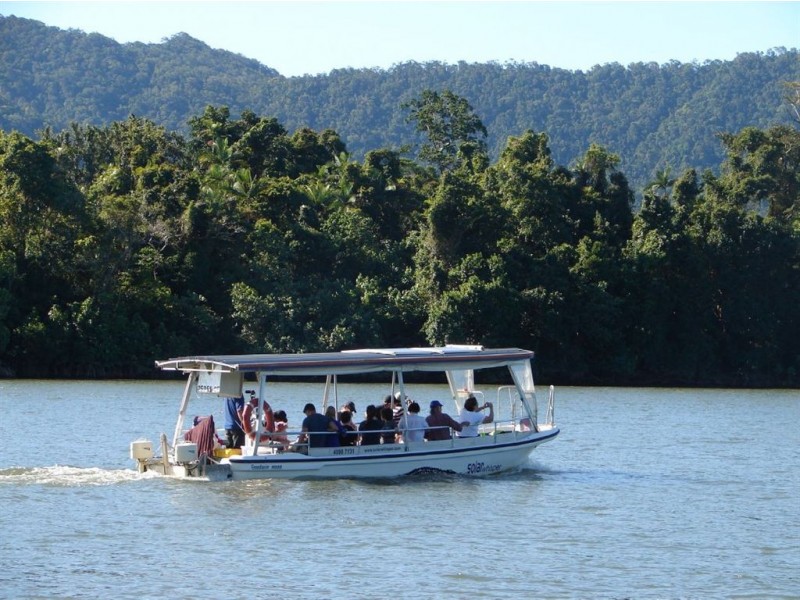 # Cape Tribulation Road, Lower Daintree QLD 4873