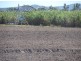 Mareeba QLD 4880