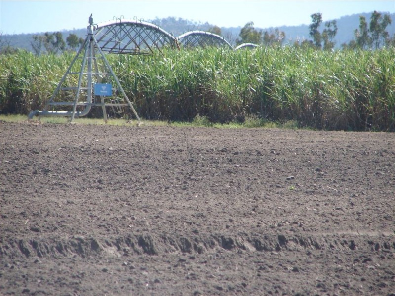 Mareeba QLD 4880