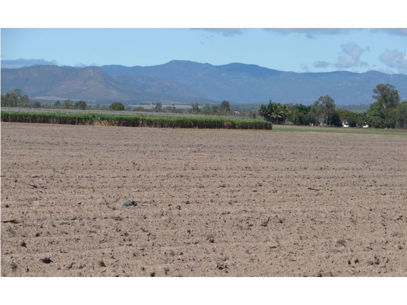 Mareeba QLD 4880