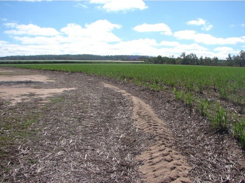 Mareeba QLD 4880