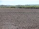 Mareeba QLD 4880