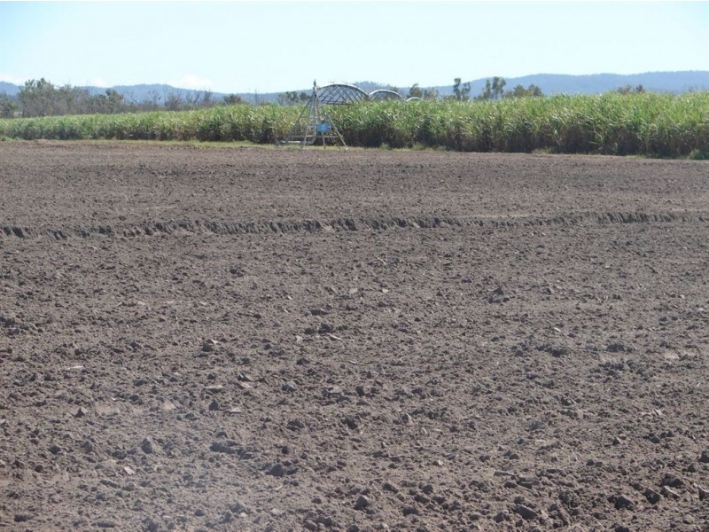 Mareeba QLD 4880