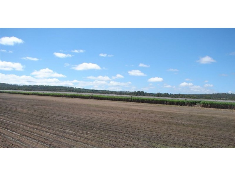 Mareeba QLD 4880