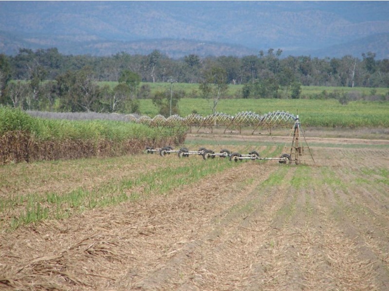 Mareeba QLD 4880