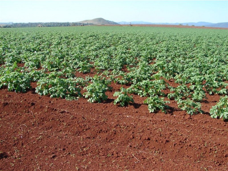 # Kennedy Highway, Atherton QLD 4883