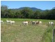 # Bakers Road, Mt Molloy, Mareeba QLD 4880