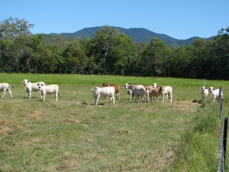 # Bakers Road, Mt Molloy, Mareeba QLD 4880