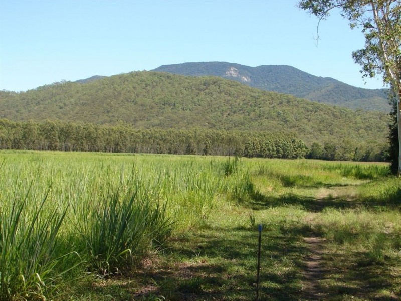 # Bakers Road, Mt Molloy, Mareeba QLD 4880