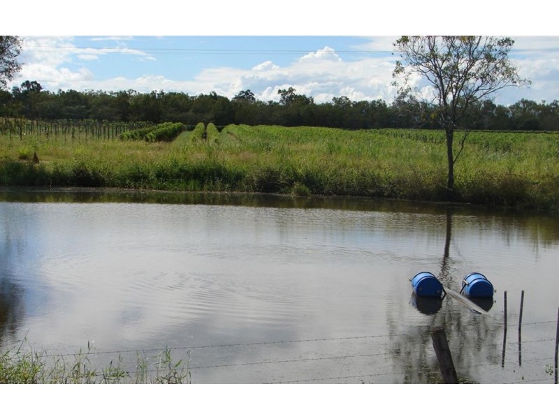 # Springs Road, Mareeba QLD 4880