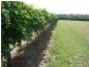 # Springs Road, Mareeba QLD 4880