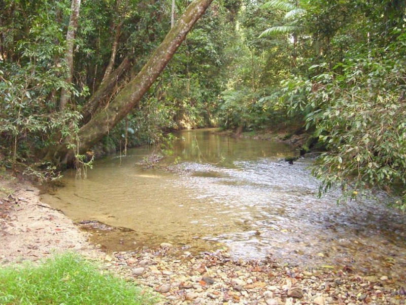 # Mount Lewis Road, Julatten, Port Douglas QLD 4877
