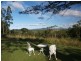 # Mount Lewis Road, Julatten, Port Douglas QLD 4877