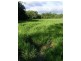 # Mount Lewis Road, Julatten, Port Douglas QLD 4877