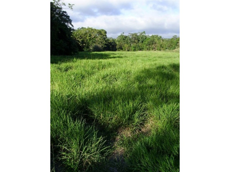 # Mount Lewis Road, Julatten, Port Douglas QLD 4877