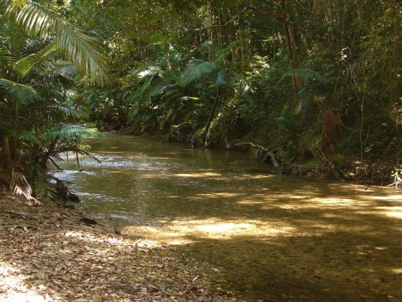 # Mount Lewis Road, Julatten, Port Douglas QLD 4877