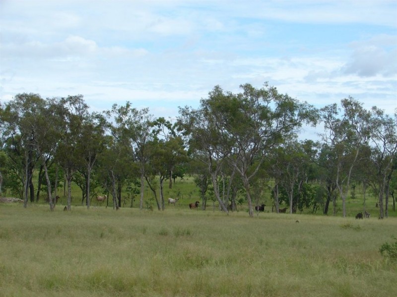 # Blackdown Road via Chillagoe, Mareeba QLD 4880