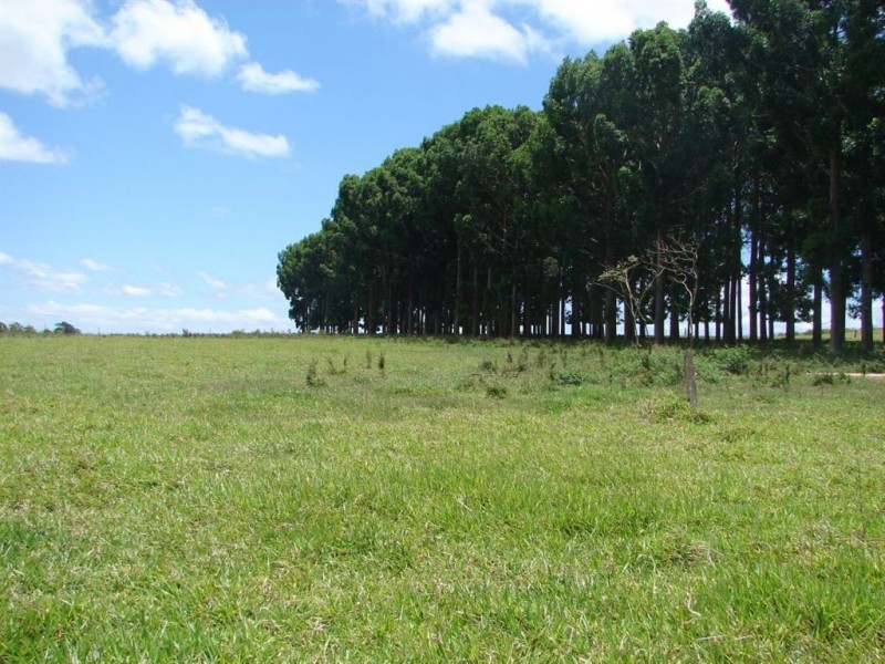 # Weaver Street, Atherton QLD 4883