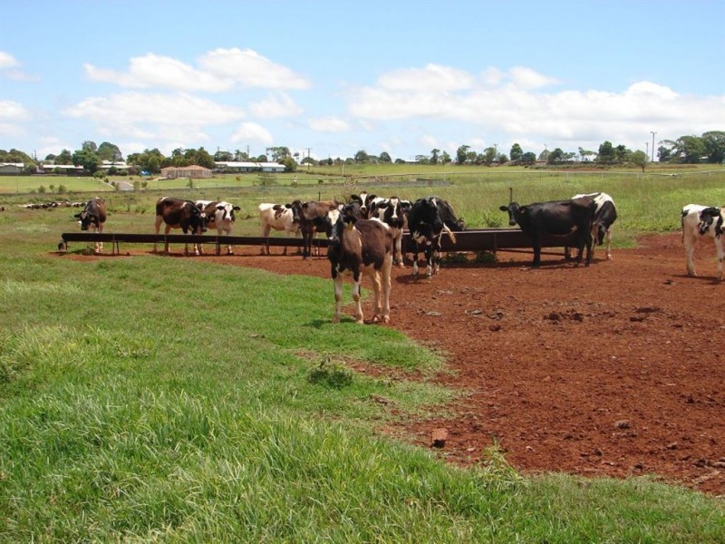 # Weaver Street, Atherton QLD 4883