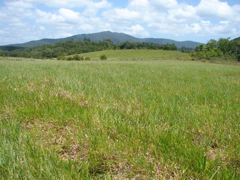 # Barnwell Road, Kuranda QLD 4881