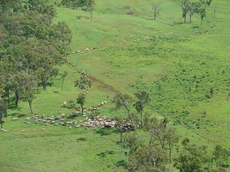 # Springvale Station, Lakeland, Cairns QLD 4870