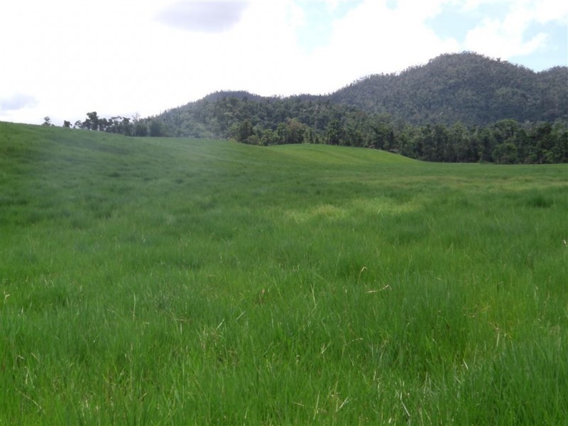 # Mena Creek Road, Mena Creek QLD 4871