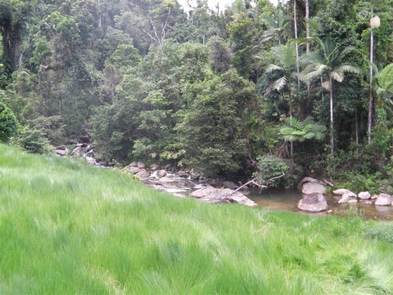 # Mena Creek Road, Mena Creek QLD 4871