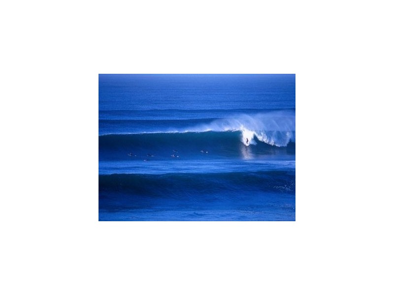 65 Grossmans Road, Torquay VIC 3228