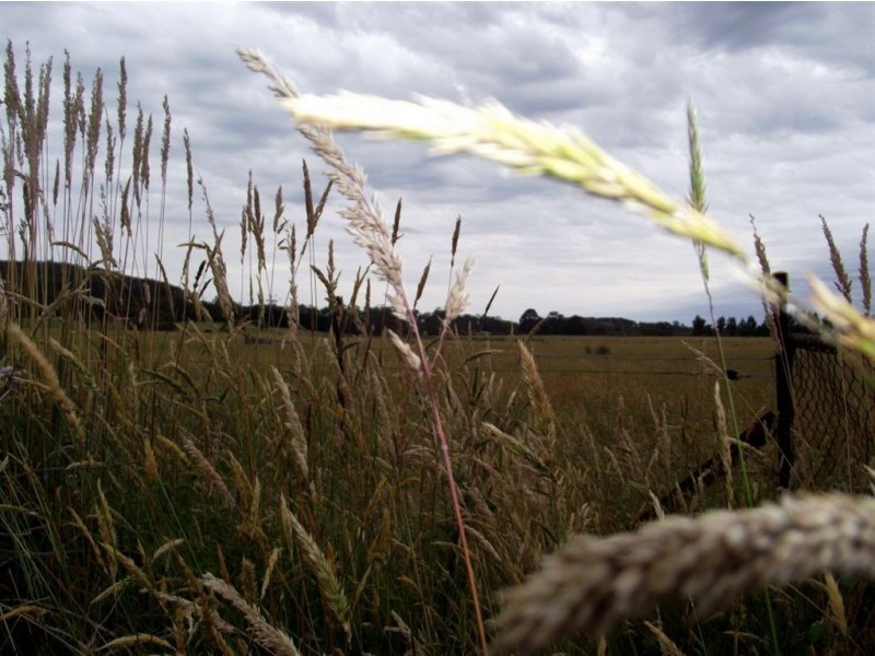 87D Yendon Road, Mount Egerton VIC 3352