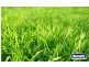 Lot 340 Vive Street, Tarneit VIC 3029