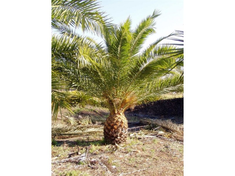 955 Princess Freeway, Lara VIC 3212