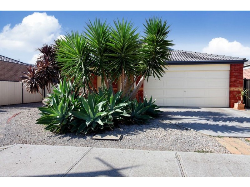 3 lilly Pilly Close, Werribee VIC 3030