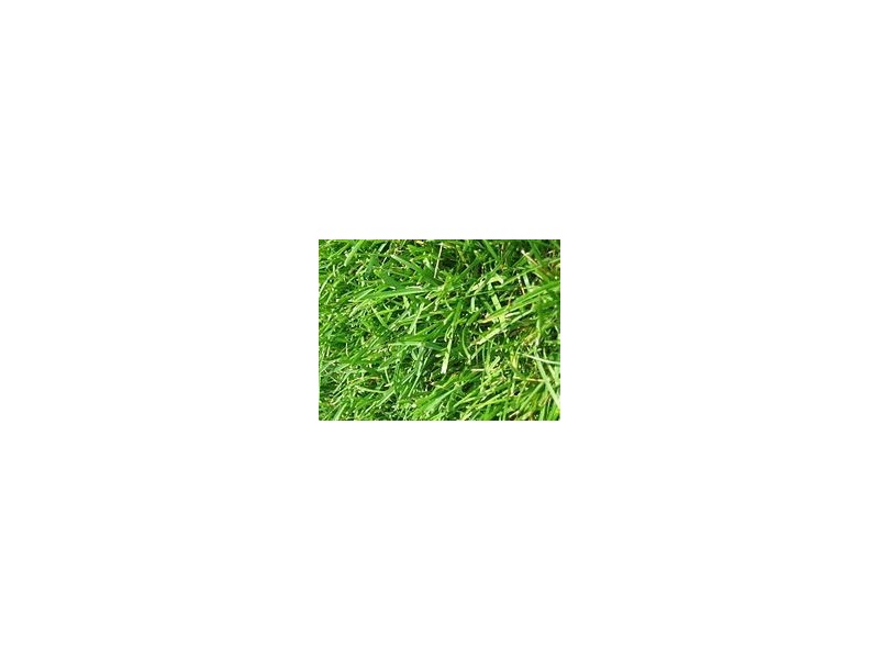 lot 714 Chantelle Parade, Tarneit VIC 3029
