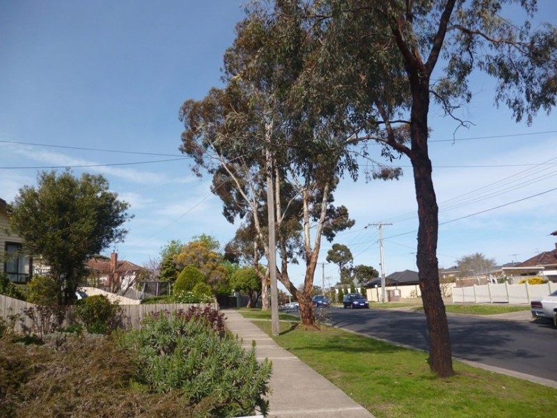 104 Winifred Street, Oak Park VIC 3046