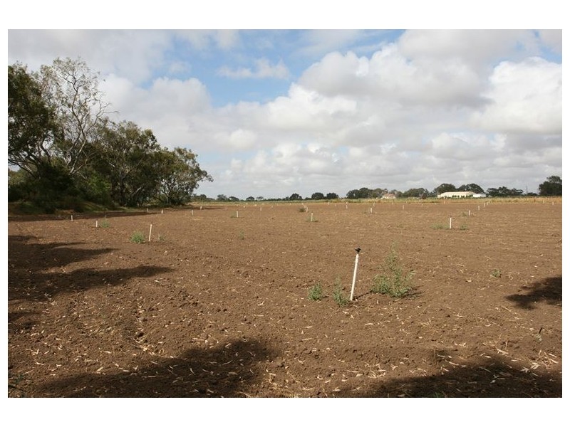 lot 2 Hogans Rd, Tarneit VIC 3029