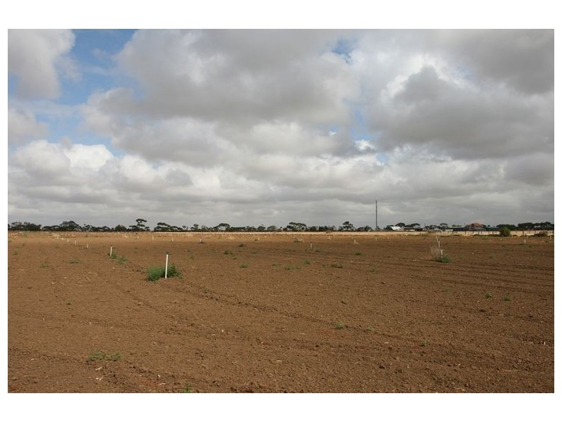 lot 2 Hogans Rd, Tarneit VIC 3029