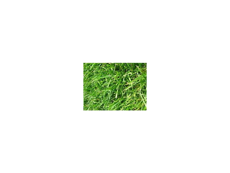 lot 409 Bethany Road, Tarneit VIC 3029