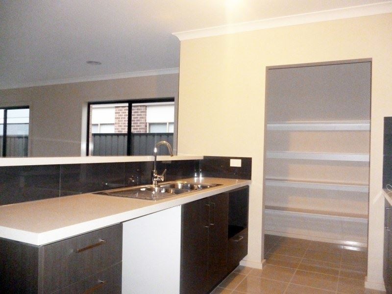 41 Terrene Terrace, Point Cook VIC 3030