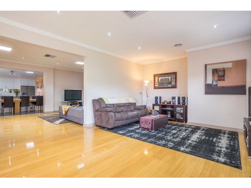 17 Danfield Drive, Tarneit VIC 3029