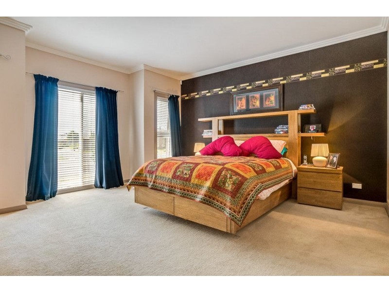 17 Danfield Drive, Tarneit VIC 3029