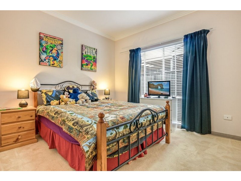 17 Danfield Drive, Tarneit VIC 3029