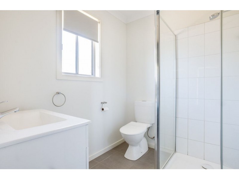 51 Springleaf Road, Tarneit VIC 3029