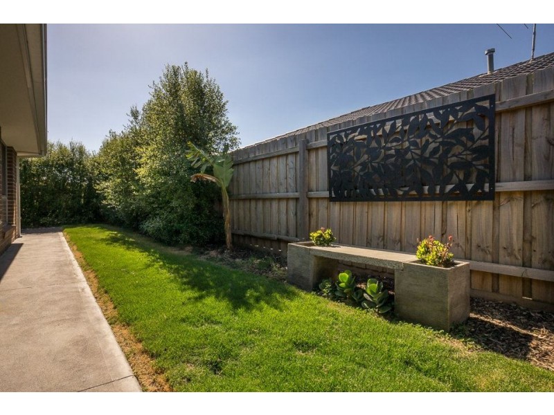 51 Springleaf Road, Tarneit VIC 3029