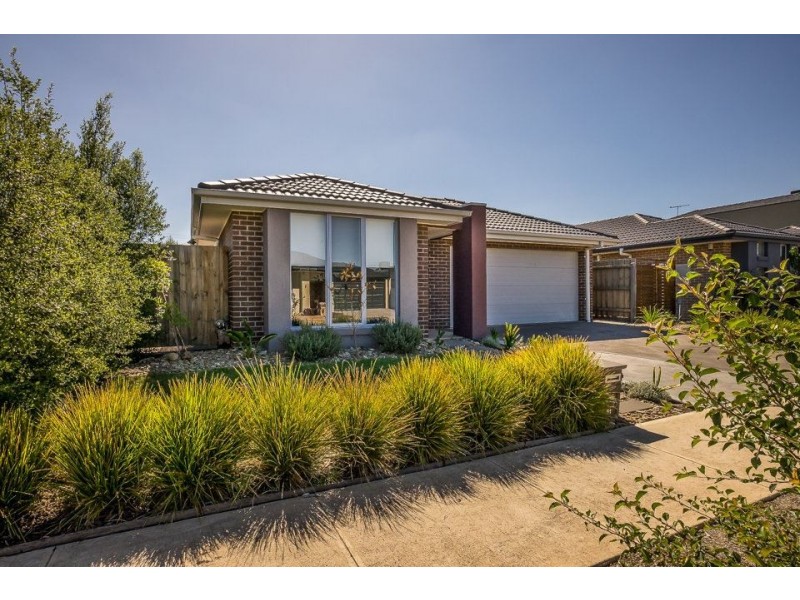 51 Springleaf Road, Tarneit VIC 3029