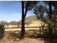 66 Firestone Way, Wodonga VIC 3690
