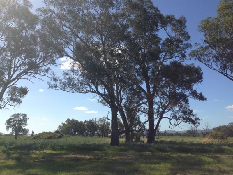 26 Daintree Way, Wodonga VIC 3690