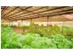 620 Honour Ave, Corowa NSW 2646